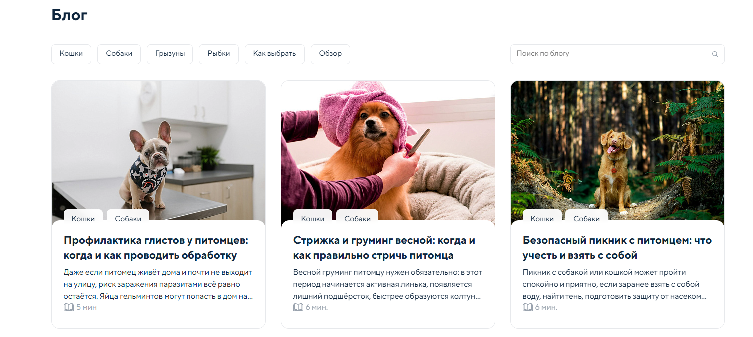 Пример страницы блога Страница блога